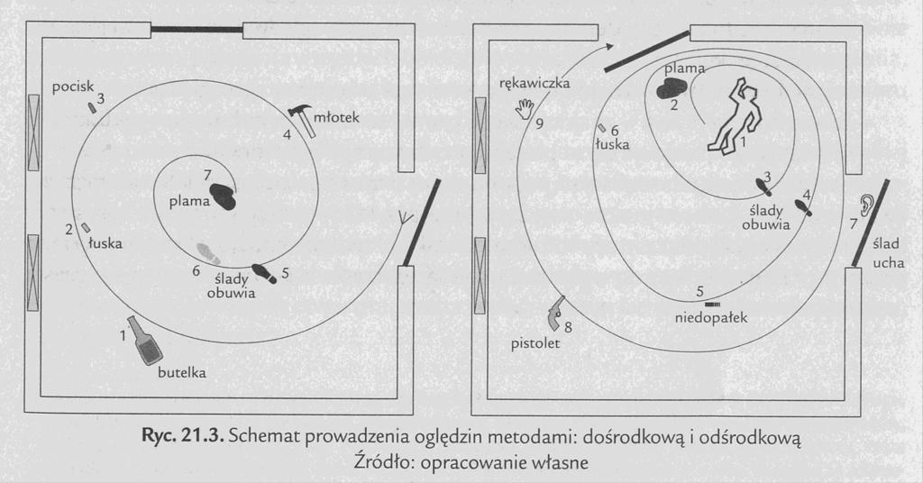 Sposób poruszania się po miejscu oględzin W.G.