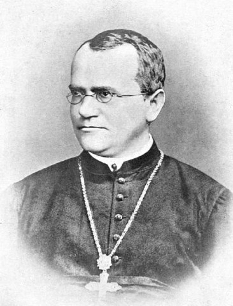 GREGOR JOHANN MENDEL zakonnik, opat