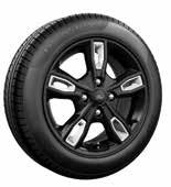 tylko w pakietach: Black Edition, White Edition Canyon Ridge Lakier metalizowany - 2