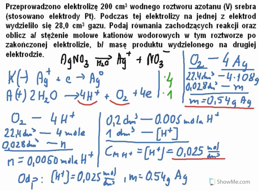 Witold