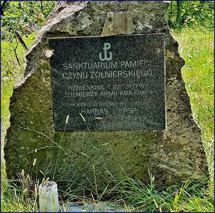 Zdjęcie letnie, jesienne oraz