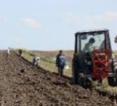 Skuteczność metod użytych w sposób zintegrowany Metoda mechaniczna +