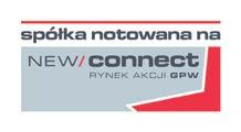 Raport Kwartalny Netwise S.A.