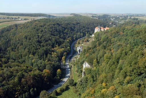 22 J. Wojkowski. A. Kozłowska Ryc. 10. Północno-zachodni fragment analizowanego obszaru wierzchowiny otaczające dno Doliny Prądnika. Fot. R. Cieślik (2007) Fig. 10. The north-west part of the study area - the plateau surrounding the Prądnik Valley.