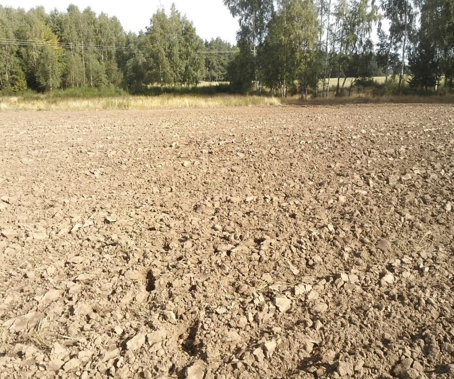 Skład granulometryczny decyduje o właściwościach retencyjnych gleby oraz dostępności wody dla roślin uprawnych.