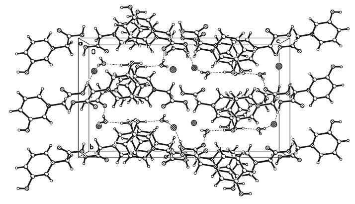 Schemat 4. Synteza kompleksów (3HOPB) 2 HCl (9) i 3HOPB HCl H 2O (10) [H9]. Na Rys.