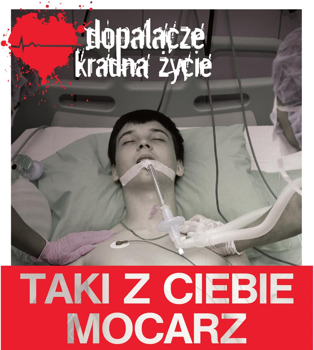 Noce Miami podłączają się