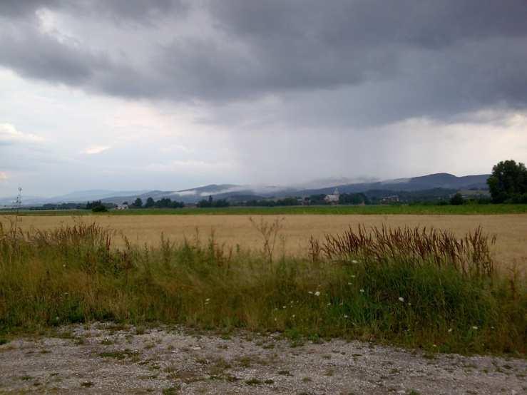 Ponad 20-letnie tradycje w Odnowie Wsi (np.