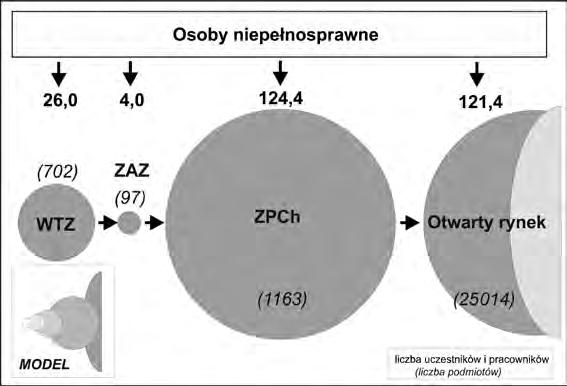 W praktyce mankamentami są: brak drożności w przechodzeniu osoby niepełnosprawnej przez poszczególne formy organizacyjne systemu oraz zatrudnianie w ZPCh niepełnosprawnych z oczekiwaniami