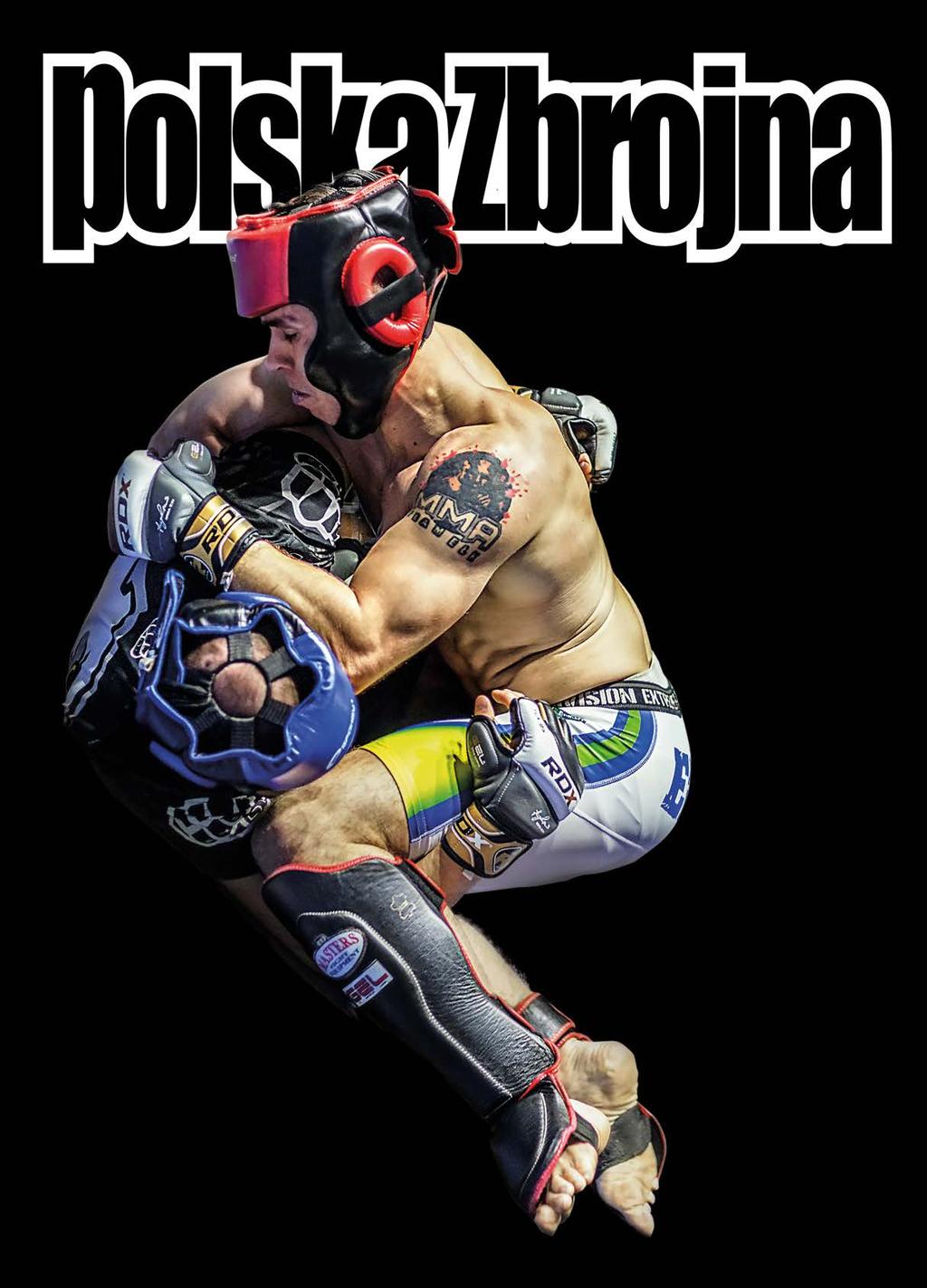 www.polska-zbrojna.