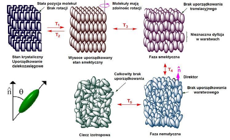 nanocząstki, otrzymana powierzchnia wynosiłaby 1250 m 2, czyli więcej niż powierzchnia dwóch kortów tenisowych.