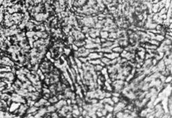 wygrzewniu w plzmie zotowo-wodorowej - 1890 HV 0,02 () Fig. 3.