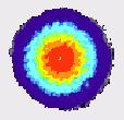 1um (768x576 pixel) Magnetic field: planar/perpendicular 100mT