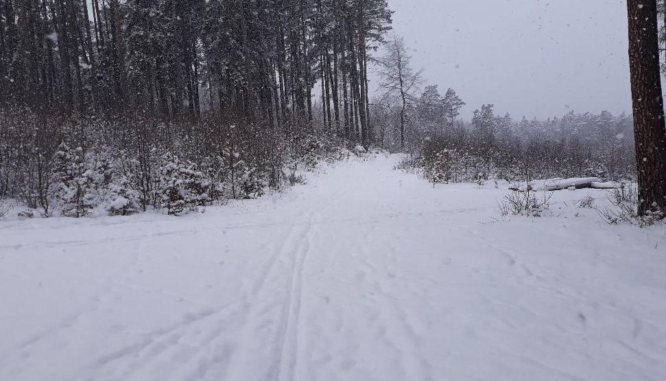 ZDJĘCIE 2 po 2,6km na