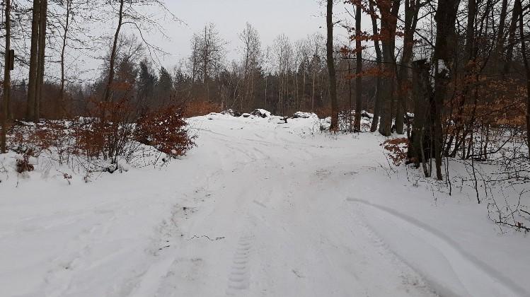 Idziemy dalej ulicą Bratek,