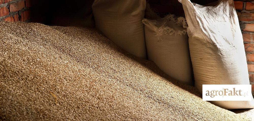 Jaka jest dopuszczalna zawartość GMO w paszach NON GMO? Autor: mgr inż.