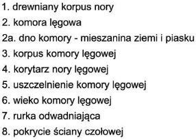 i chroniący podstawę brzegu (Działanie dodatkowe 10).