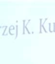 Anglistyki UMCS w Lublinie.