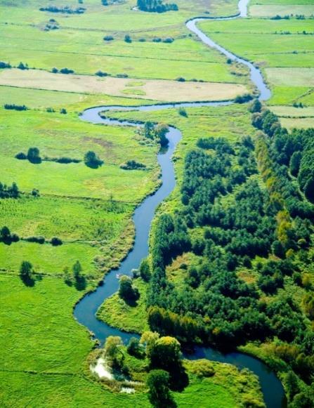 oligotroficzne jezioro Jasne i dystroficzne jezioro Luba wraz z torfowiskami i drzewostanem, okalającym obydwa jeziora. Powierzchnia rezerwatu wynosi 106,3 ha.