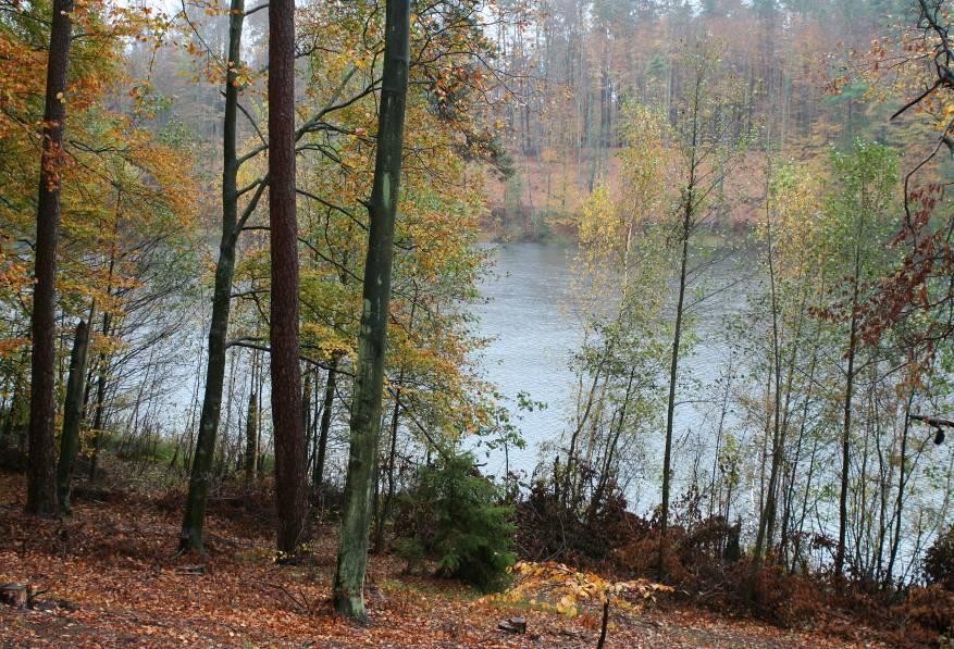 Rezerwat "Żurawinowe Bagno" o powierzchni 52,4 ha, położony na północno-wschodnim skraju wsi Smolniki. Obejmuje torfowisko niskie i przejściowe wraz z otaczającym drzewostanem.