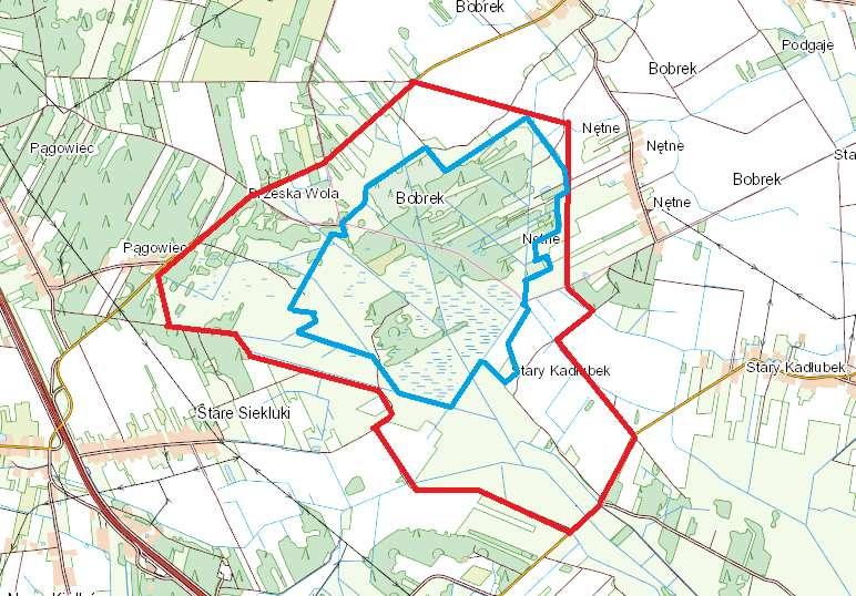 TORFOWISKO SIEKLUKI Położenie: ok.200 m na zachód od wsi Nętne, gm. Stromiec, i Gm.