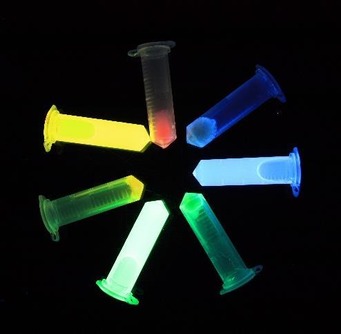 Katedra Biotechnologii Molekularnej Techniki wykorzystywane w Pracowni dyplomowej (w zależności od wykonywanego projektu) Izolowanie DNA plazmidowego i genomowego