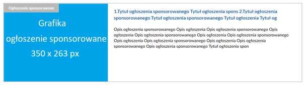 Format reklamowy może się składać z 3 lub 2 bloków Rodzaj oraz krój czcionki jak na przedstawionych rysunkach poglądowych bez możliwości zmiany.