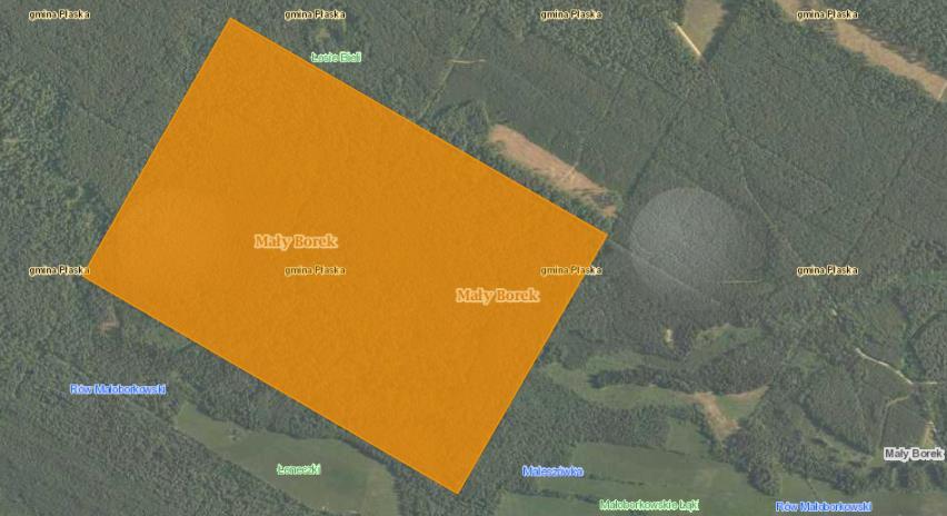 Rysunek 12. Położenie rezerwatu przyrody Mały Borek Źródło: geoserwis.gdos.gov.pl Rysunek 13.