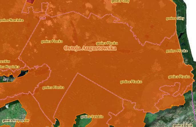 Rysunek 14. Położenie terenu NATURA 2000 Ostoja Augustowska na terenie Gminy Płaska Źródło: geoserwis.gdos.gov.
