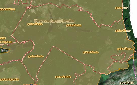 ptak, podgorzałka ptak, łabędź krzykliwy ptak, bocian czarny ptak, bocian biały ptak, bąk ptak, perkoz rogaty ptak. Dla obszaru nie ustanowiono planu zadań ochrony ani planu ochrony.