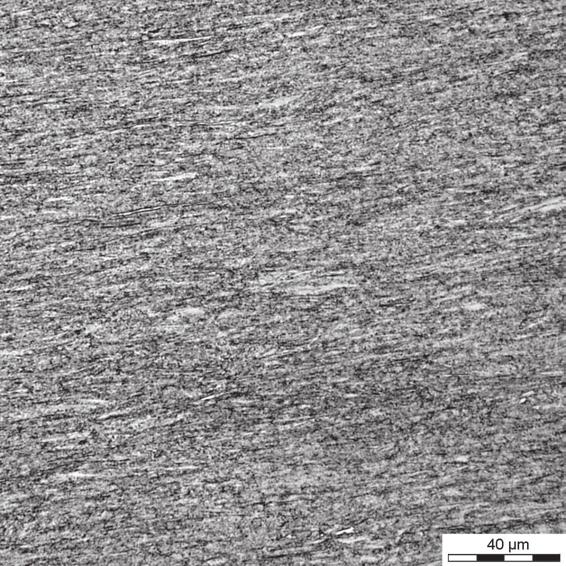 Microstructure of samples after cold deformation. ESR material, tempering temperature 660 C.