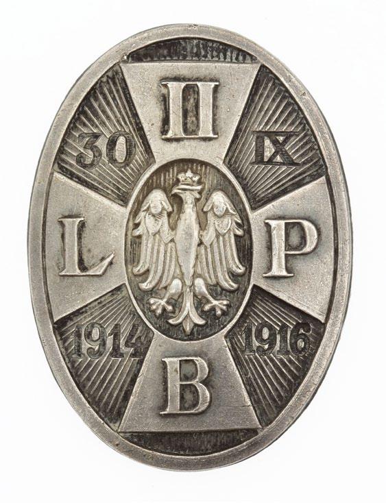 pułków piechoty. Również został zmieniony skład wszystkich brygad. Odtąd I Brygada składała się z 1. i 2. pułków piechoty LP, II Brygada z 3. i 4. pułków piechoty LP, a III Brygada z 5. i 6.