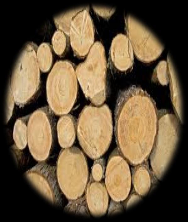 Wzrost znaczenia
