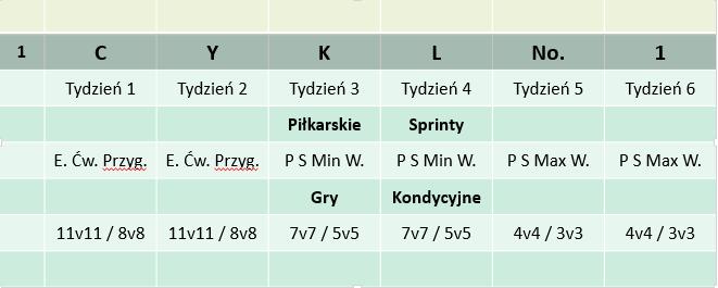 Model Periodyzacji 6