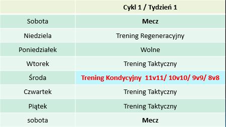 Cykl 1 /