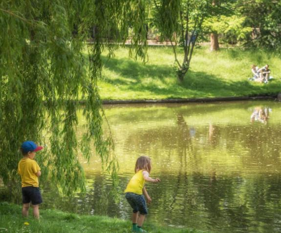 Wody opadowe sa gromadzone w zbiorniku, rozsączane do gruntu oraz odprowadzane w ograniczonej ilości do