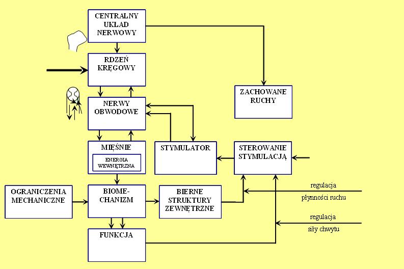 Schemat blokowy systemu wspomagania funkcji ruchowych