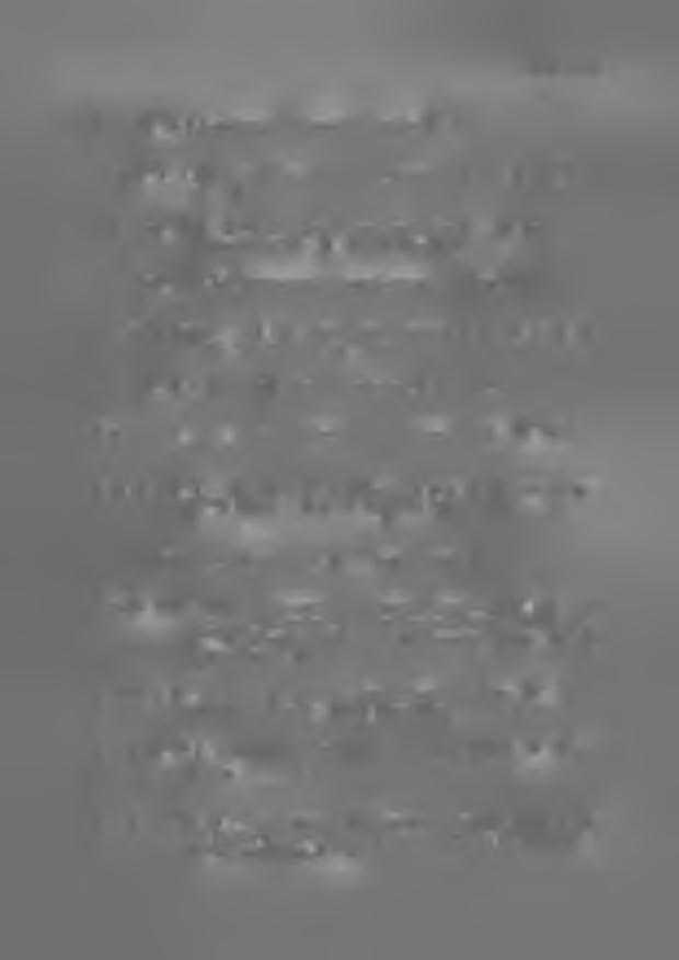 Bibliografia Jedlicka A., 1978: Spisovny jazyk v soućasne komunikaci. Praga Jiraćek J., 1971: Internacjontdnyje sujfiksy suscestvitel'nych v sovremennom russkom jazyce. Brno Jodłowski S.