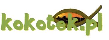 niniwa.com Redakcja: Krzysztof Zieliński Skład: Dawid Fis Kontakt: niniwamedia@gmail.