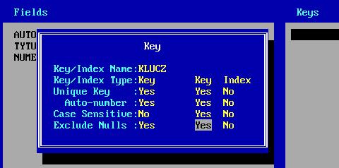 Przechodzimy tabulatorem do działu klucze i dodajemy klucz który jest unikalny (z założenia powinien), ma autonumerowanie (czyli