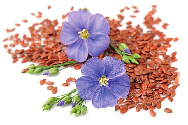 Co to znaczy, że LEENVIT zawiera niezbędne dla Ciebie Omega 3+6? Kwasy Omega 3 mają fundamentalne znaczenie dla prawidłowego funkcjonowania całego organizmu.