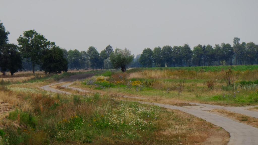 KONFERENCJA AGROTURYSTYCZNA POMORSKI PRODUKT AGROTURYSTYCZNY Lubań, 12 października 2017 KRAJOBRAZ ELEMENTEM ATRAKCYJNOŚCI