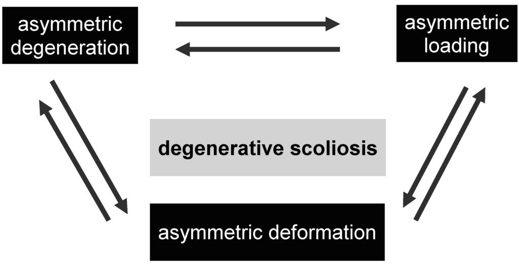 REVIEW Epidemiology and classification The first group consists of patients with secondary degenerative changes of the intervertebral joints, previously diagnosed with idiopathic scoliosis as