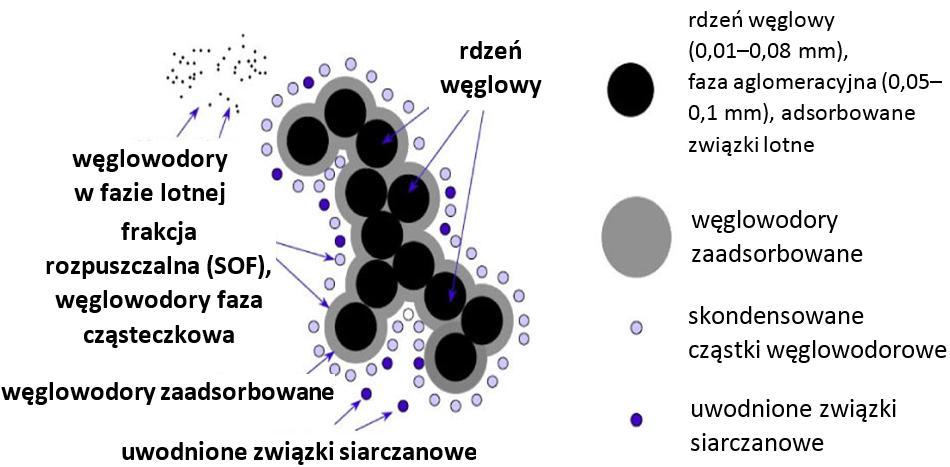 Kompozycja frakcyjna cząstki stałej sprowadza się do rdzenia węglowego oraz zaadsorbowanych na jego powierzchni skondensowanych związków organicznych pochodzenia olejowego i paliwowego, związków