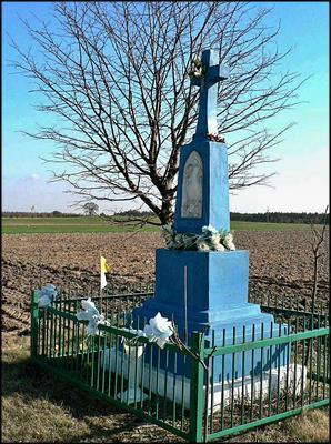 Przyłanki