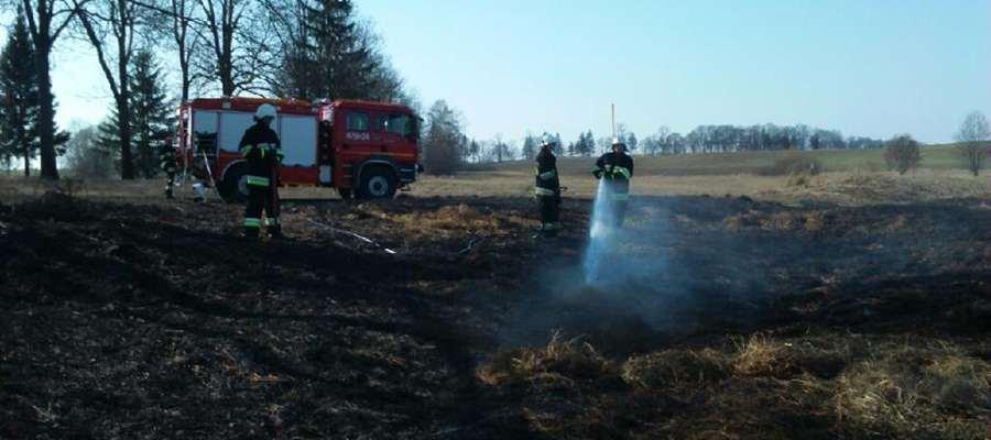 Portal Warmii i Mazur, Kętrzyn.wm.pl 28. 03. 2016 r. Zaczęło się. Bezmyślne wypalanie traw dzień Świąt Wielkanocnych strażacy OSP Reszel wyjeżdżali dwa razy do palącej się trawy.