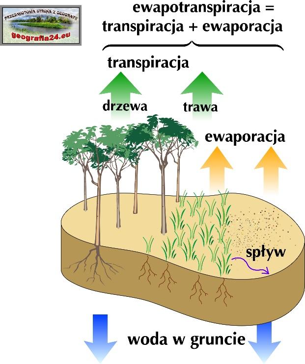 Parowanie prowadzące do dostawania się pary wodnej do atmosfery może nastąpić na jeden z kilku sposobów, m.in.