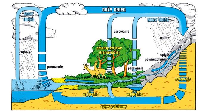 Odpływ podziemny jest procesem w wyniku którego woda ulegająca przemieszczaniu się w głąb Ziemi, przedostaje się do podziemnej sieci hydrograficznej, którą wykorzystuje w celu dalszego spływu.