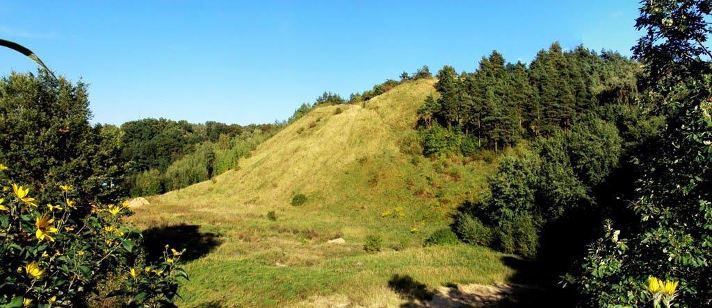 Wzgórza Bukowe Wzgórza morenowe Naturalne wzniesienia terenu (różnego rodzaju pagórki, pagóry, wzgórza,