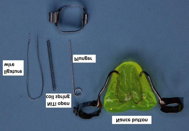 In each case standard orthodontic records were collected on the basis of a clinical examination supplemented with a radiographic examination (lateral cephalogram, orthopantomogram), study models,